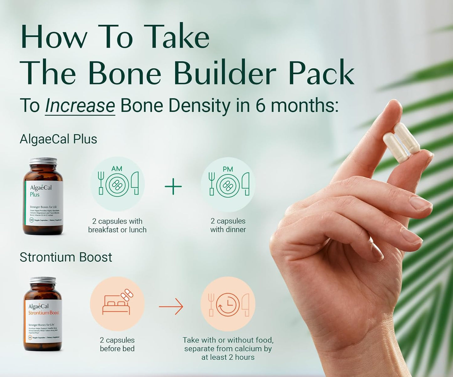 AlgaeCal Bone Builder Pack – Plant-Based Calcium & Strontium for Bone Strength and Density