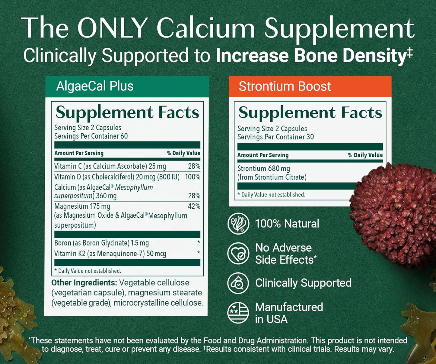 AlgaeCal Bone Builder Pack – Plant-Based Calcium & Strontium for Bone Strength and Density